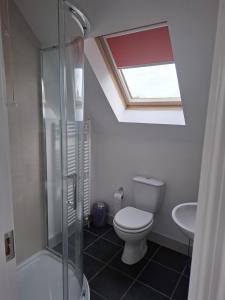 a bathroom with a toilet and a sink with a skylight at The Loft at 522 in Woodburn +14 photos