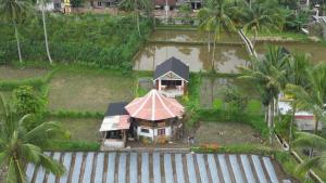 Zahrada ubytování Rice Field inn - Lombok