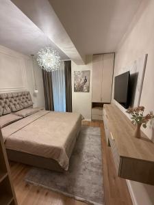 a bedroom with a large bed and a flat screen tv at Sole Central Apartment in Râmnicu Vâlcea