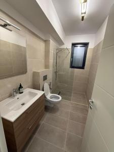 a bathroom with a toilet and a sink and a shower at Sole Central Apartment in Râmnicu Vâlcea