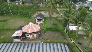 Zahrada ubytování Rice Field inn - Lombok