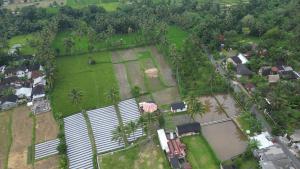 Letecký snímek ubytování Rice Field inn - Lombok