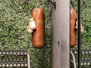 a pair of brown leather shoes hanging on a wall at Novotel Barcelona City in Barcelona