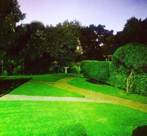 Jardin de l'établissement Ankuweni Guest house