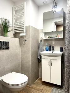 ヴロツワフにあるZarembowicza Apt 37 - Self Check-In 20h - Parking &Liftのトイレと洗面台付きのバスルーム
