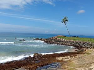 a palm tree sitting on top of a rocky beach at Sunset Beach Villa in Galle