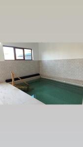 Galeriebild der Unterkunft Pensiunea Magnolia in Ocna Şugatag + 30 Fotos