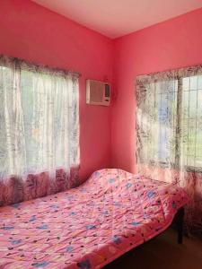 ein Schlafzimmer mit einem Bett mit rosa Wänden und Fenstern in der Unterkunft Colorful Tropical Bungalow in Bacong