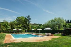 a swimming pool with chairs and umbrellas in a yard at Agriturismo Casal Gheriglio in Lucignano