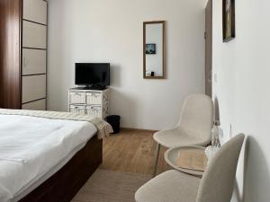 TV a/nebo společenská místnost v ubytování Bucovina Easy Stay