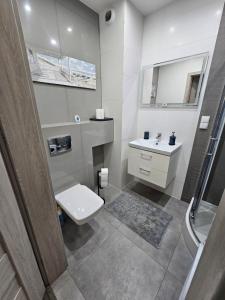 a bathroom with a toilet and a sink and a shower at Przytulny apartament do wynajęcia in Reda +13 photos