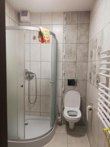 a small bathroom with a shower and a toilet at Penzión u Marlenky in Spišská Stará Ves
