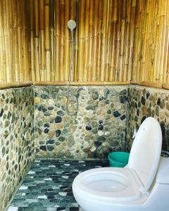 a bathroom with a toilet and a shower at Camp Irog Daraitan in Damasanan