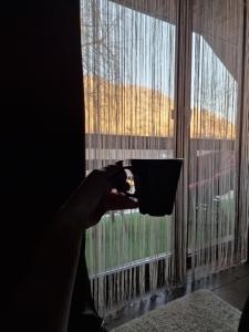 Balkón nebo terasa v ubytování Pensiunea Terra Nova