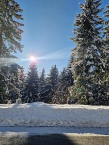 Pensiunea Terra Nova v zimě