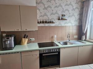 Kuchnia lub aneks kuchenny w obiekcie Ferienwohnung Hohengaßner