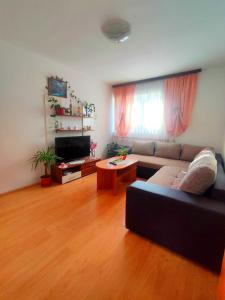 TV a/nebo společenská místnost v ubytování Apartman Josipa