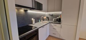 Kuchyň nebo kuchyňský kout v ubytování Comfortable Apartment Gerbera Tallinn