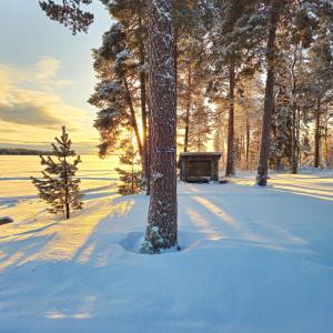 un árbol en la nieve junto a un bosque en Chalet Norva, en Rovaniemi