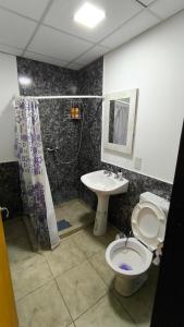 une salle de bain avec toilettes et lavabo dans l'établissement Departamento centrico con aire acondicionado y patio para guardar el vehiculo, à Choele Choel