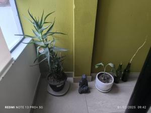 Gallery image of home Blessed III in Lima +20 photos