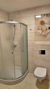 a shower stall in a bathroom with a toilet at Penzión u Marlenky in Spišská Stará Ves +53 photos
