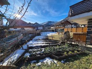 Naturlandskabet i nærheden af lejligheden