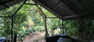Jardín al aire libre en Los Mineros Guesthouse