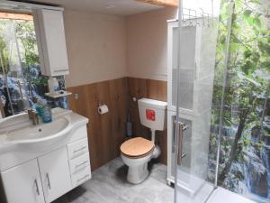 a bathroom with a shower and a toilet and a sink at Alter Wirt in Steckelsdorf