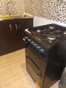 Kuchyň nebo kuchyňský kout v ubytování C O Apartment