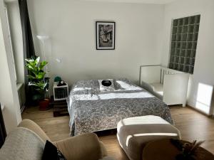 皮塞克Útulný apartmán v historickém centru města Písek的带床和沙发的客厅