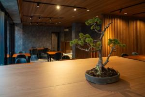 富士河口湖TOCORO. Mt.Fuji Station HOSTEL Kawaguchiko的相册照片