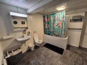 un bagno con un water, un lavandino e una tenda da doccia di Spacious cellar studio surrounded by mountains and lake a Schwanden