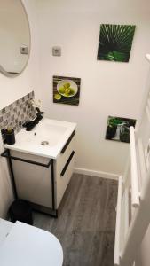 un bagno con lavandino e specchio di Ste Cosy a Istres