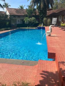 a bird statue sitting on the side of a swimming pool at Jass luxury stays in Anjuna