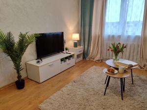 TV a/nebo společenská místnost v ubytování Narva Vahtra Apartment