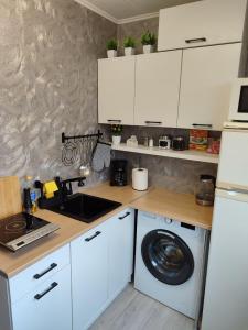 Kuchyň nebo kuchyňský kout v ubytování Narva Vahtra Apartment + 30 fotografií