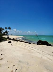 a beach with rocks and the ocean on a clear day at Paraíso Escondido Beach House! in Goiana