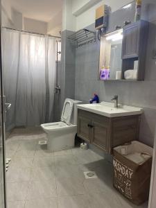 a bathroom with a toilet and a sink at Sapphire in Nairobi