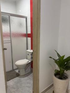 CeretéにあるOasis Olmosのトイレと鉢植えのあるバスルーム +16枚の写真