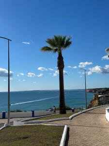 a palm tree on a sidewalk next to the ocean at Casa Burguesa in Carvoeiro
