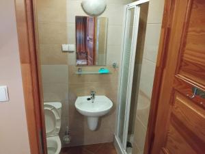 Koupelna v ubytování Willa Jakubek Jakub Bobak