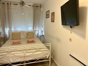TV i/ili zabavni centar u objektu Apartman “Destiny”