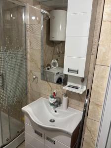 Ένα μπάνιο στο Apartman Dragićević - Stan na dan