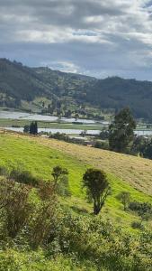 ein grünes Feld mit Bäumen und einem Fluss in der Ferne in der Unterkunft El Refugio de Paipa Lugar de Descanso y Tranquilidad in Paipa