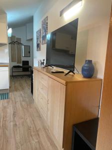a living room with a large flat screen tv on a dresser at Residence S Lucia - Appartamenti alle porte di Bormio in Valdisotto +24 photos