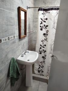 a bathroom with a sink and a shower curtain at Los Horneros in San Miguel del Monte
