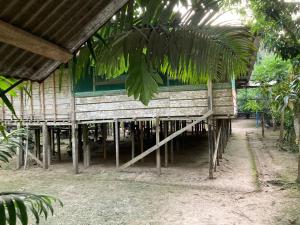 ein Holzgebäude mit einer Palme davor in der Unterkunft Explorer Iquitos in Iquitos