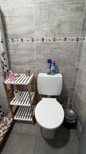 a bathroom with a white toilet in a room at Los Horneros in San Miguel del Monte +19 photos