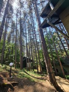 Fotografie z fotogalerie ubytování Green door v destinaci Vrnjačka Banja + 10 fotografií